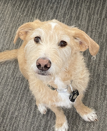Max