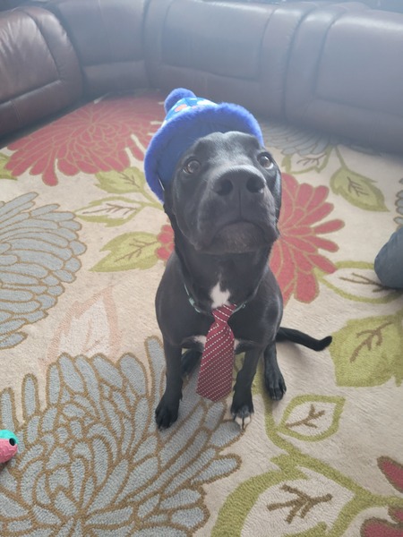 Otis 