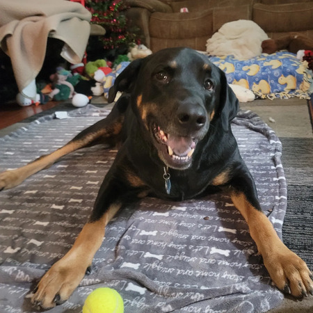 Zeke