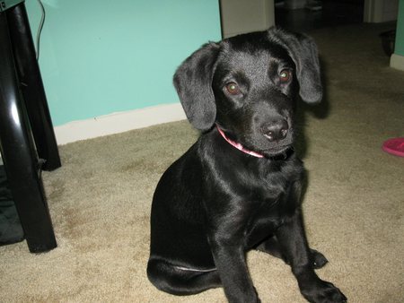 How can you resist me!