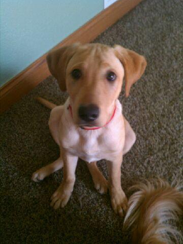 Marley