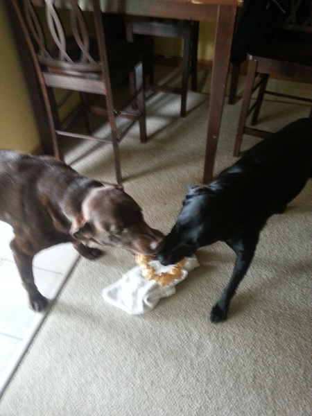 Brody and Hadley