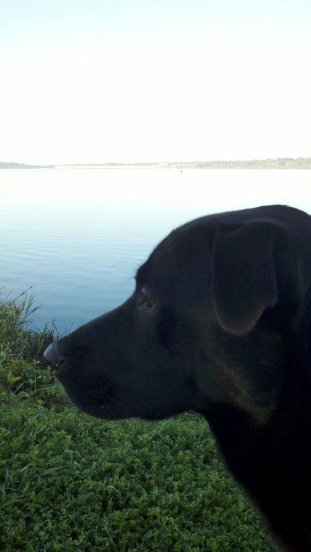 Lucy