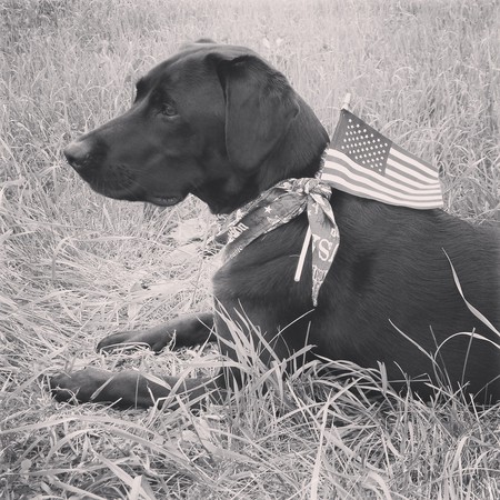 Baxter