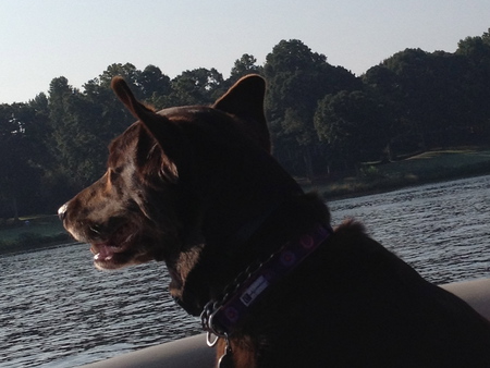 Millie Takes a Ride