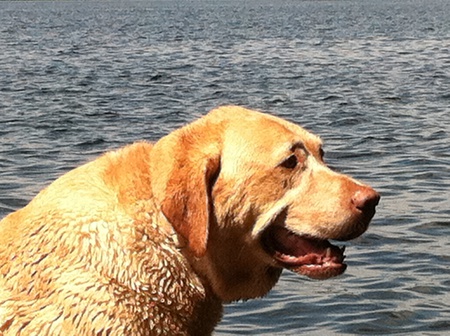 Sam