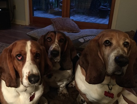 Ruby, Barney & Cooper