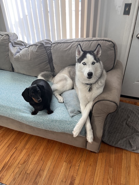 CJ & Hope