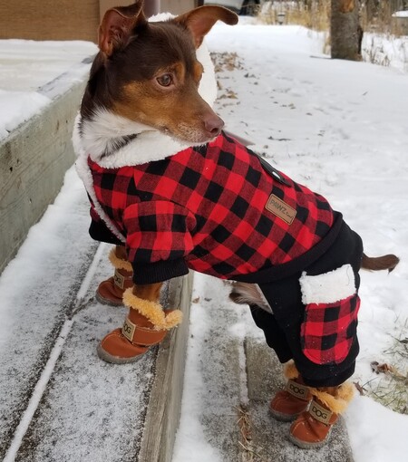 Rosco