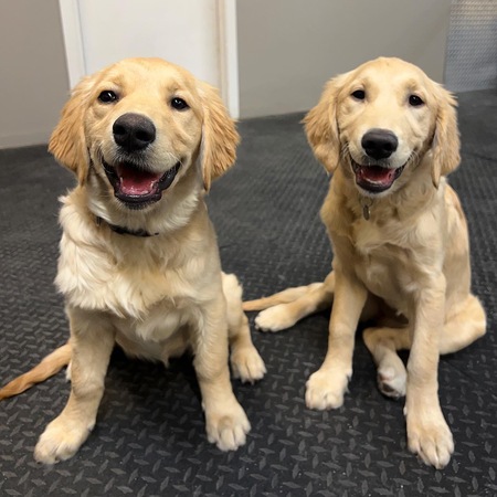 Phoebe and Storm