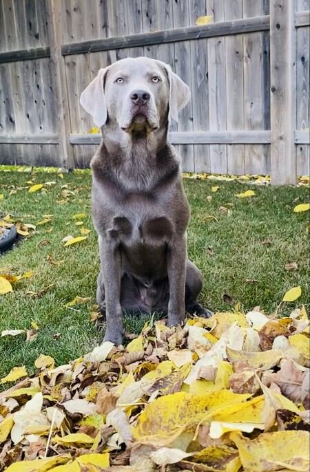Tuck