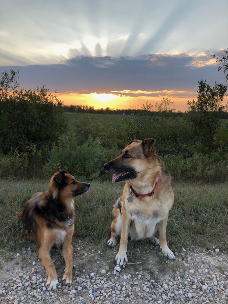 Rusty & Soley