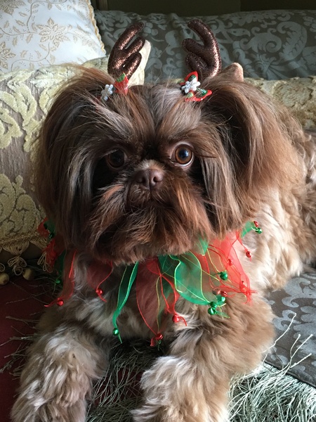 Coco