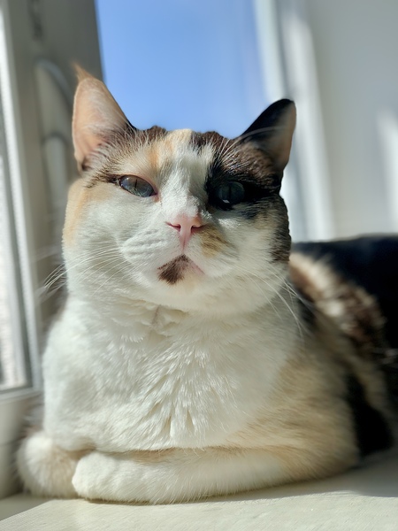 Doris