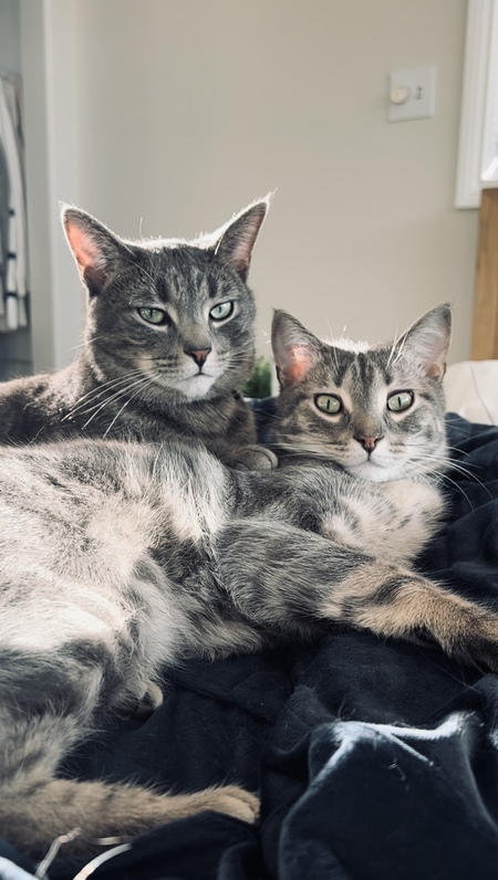 Loaf and Bread