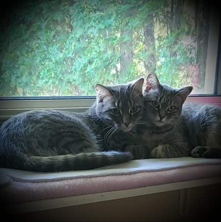 Skech & Bridgit