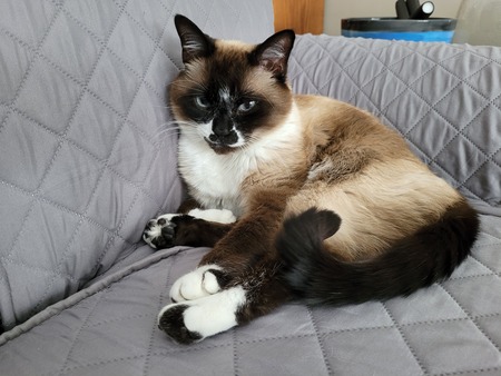 Izzy