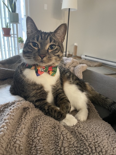 Remo