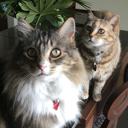 Bootsie and Cleo