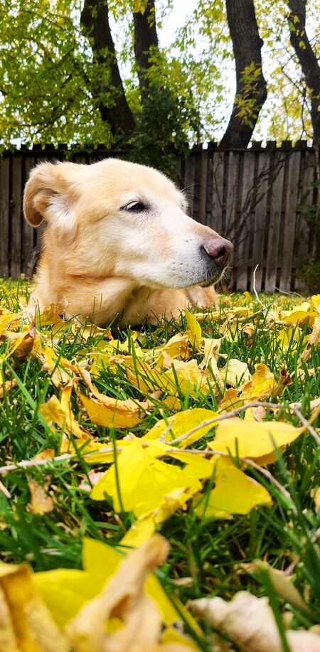 Sunnie