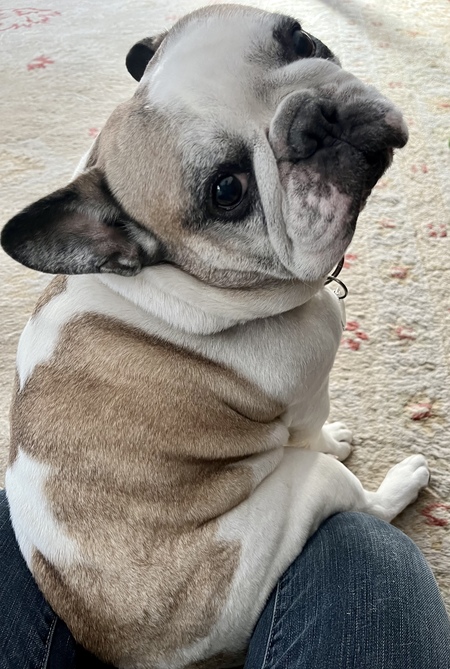 Reggie
