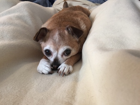Gina