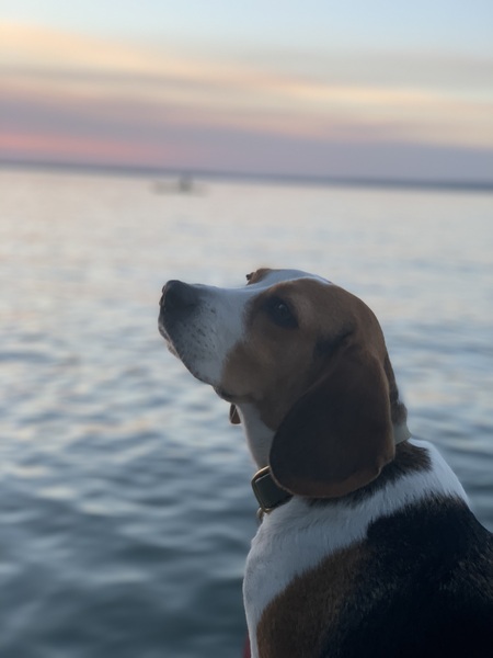 Copper