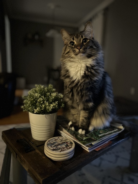 Bruce