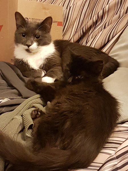 Monet & Camille