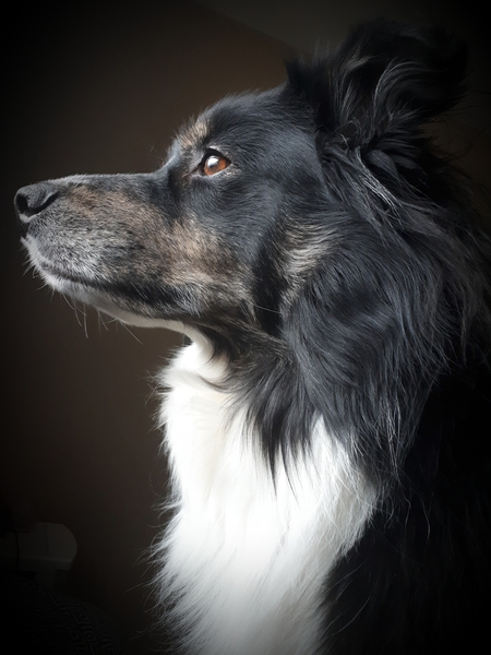 Neela