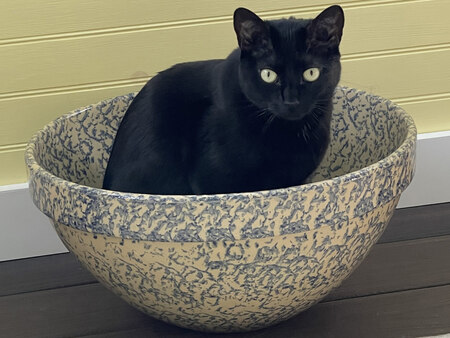 Kiki