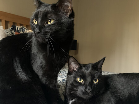 Frankie & Gracie
