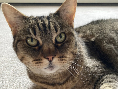 Zoe