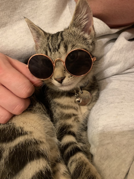 Bowie 