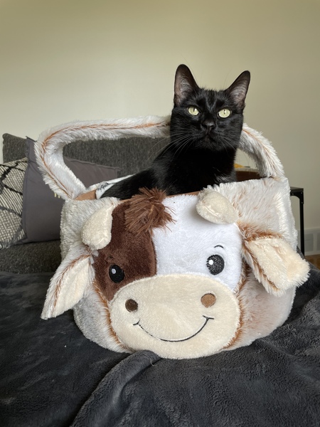 Luna
