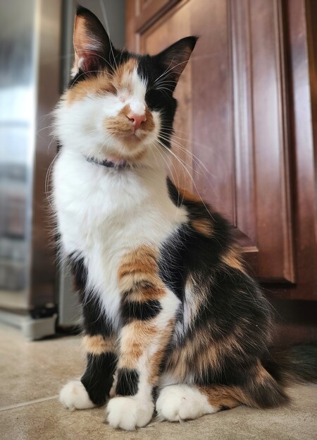 Artemis