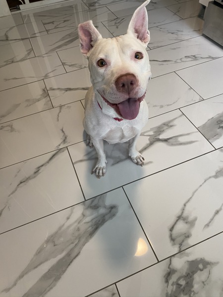 Annie