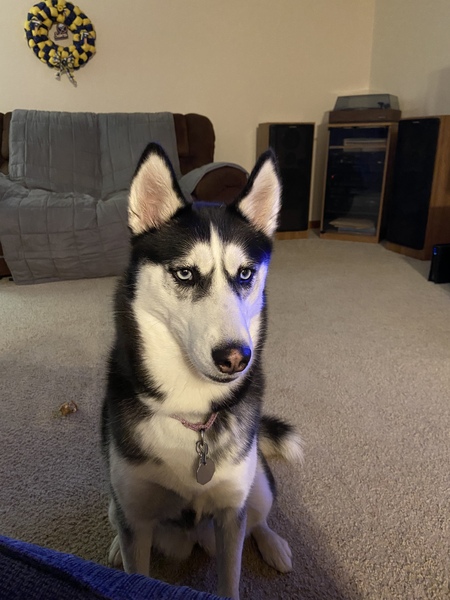 Gabby