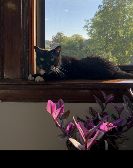 Sophie 
