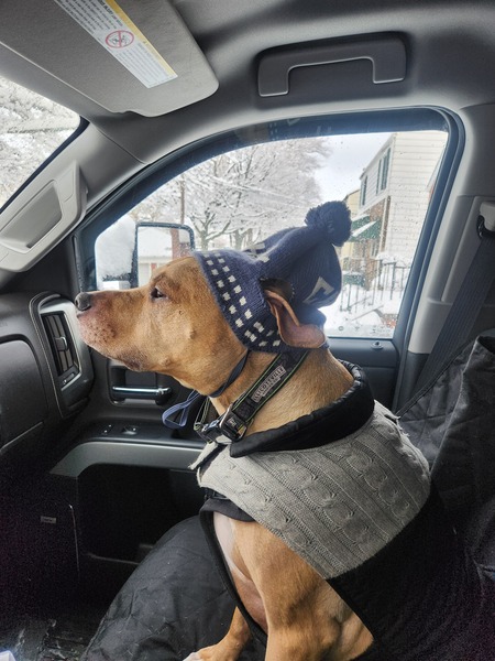 Oscar