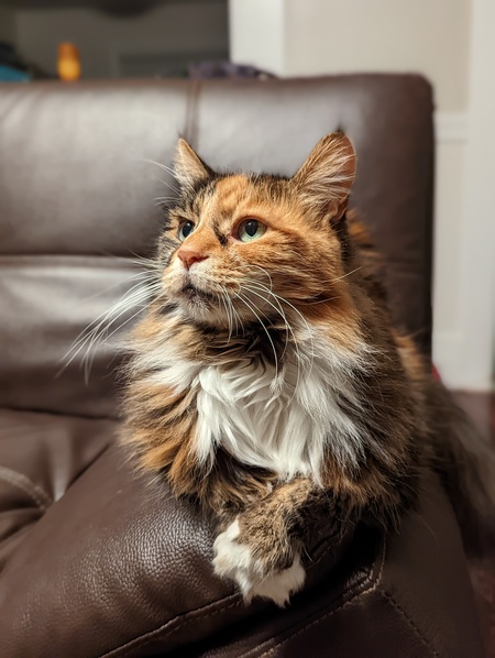 Chloe