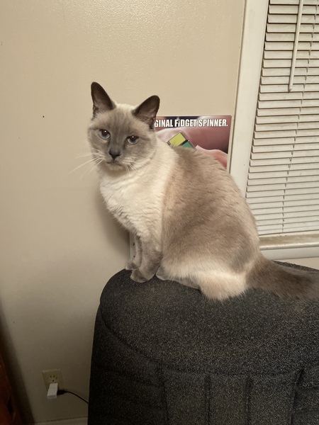 Nimbus 