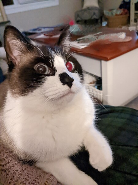 Casper 