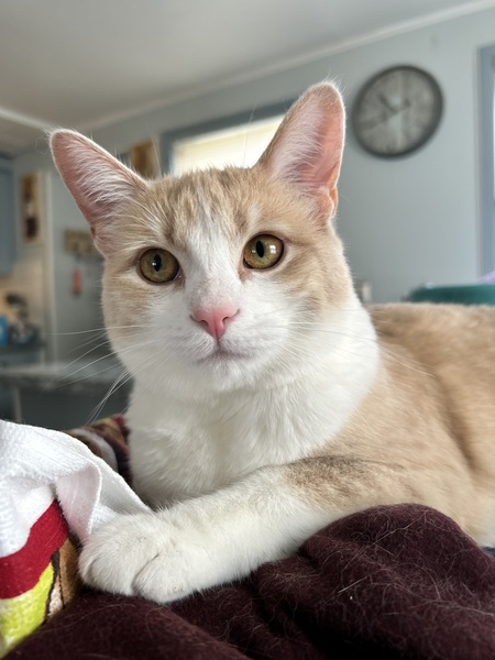 Luna 