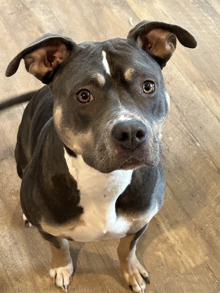 Nala