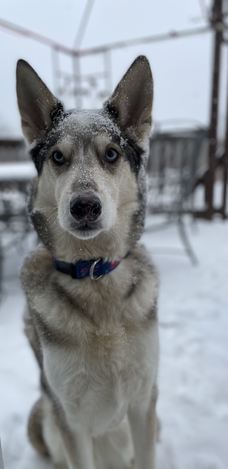 Riley