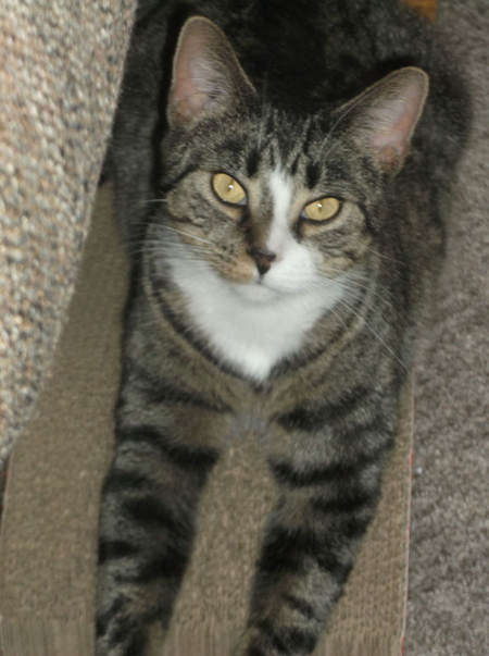 Sophie