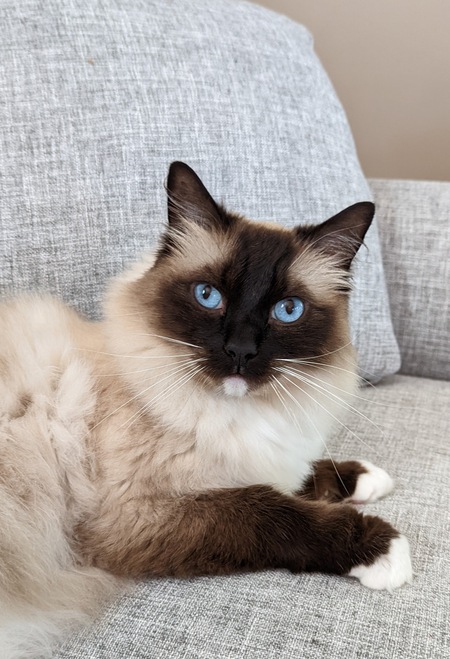 José 
