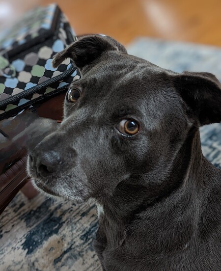 Leela