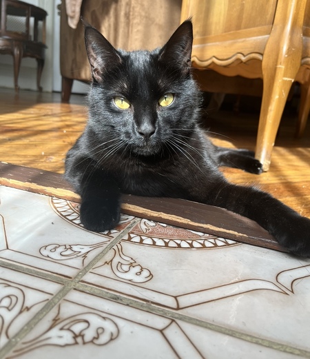 Frankie 